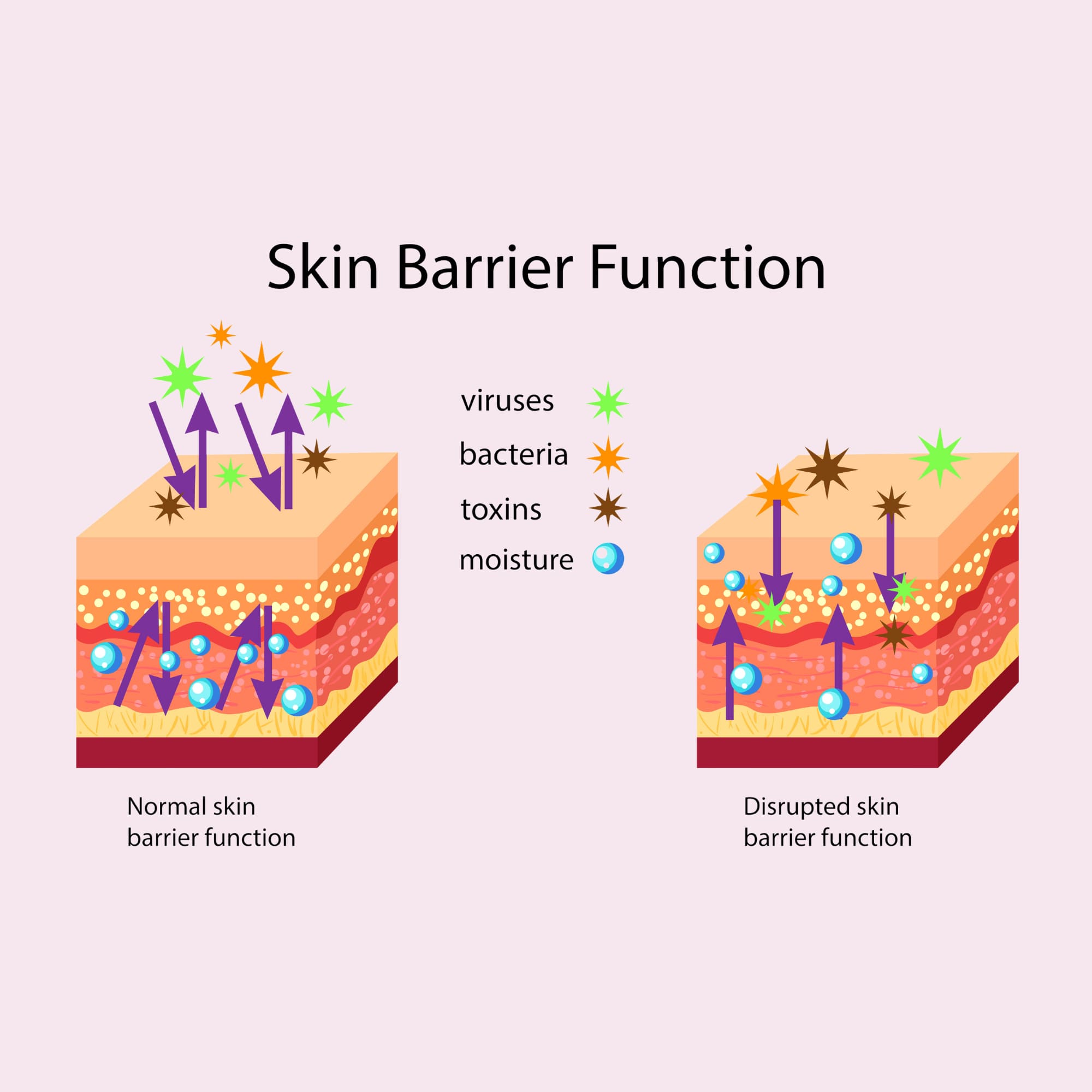 Healthy Skin Barrier System